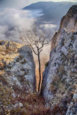 Прикрепленное изображение: 0-02-05-14f4628ec647b4194fcbc558eff1aae9ab0a1f14e235bd55d0eda89b3258f65f_45bff13.jpg